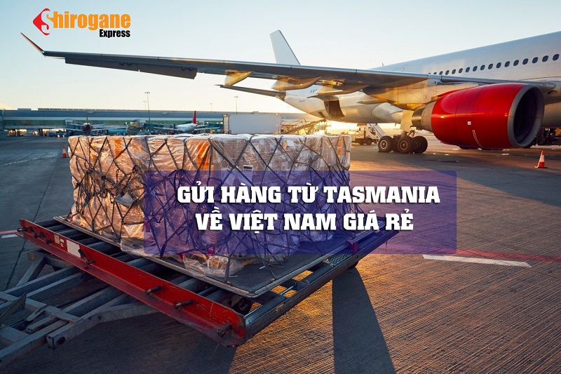 vận chuyển từ Tasmania về Việt Nam