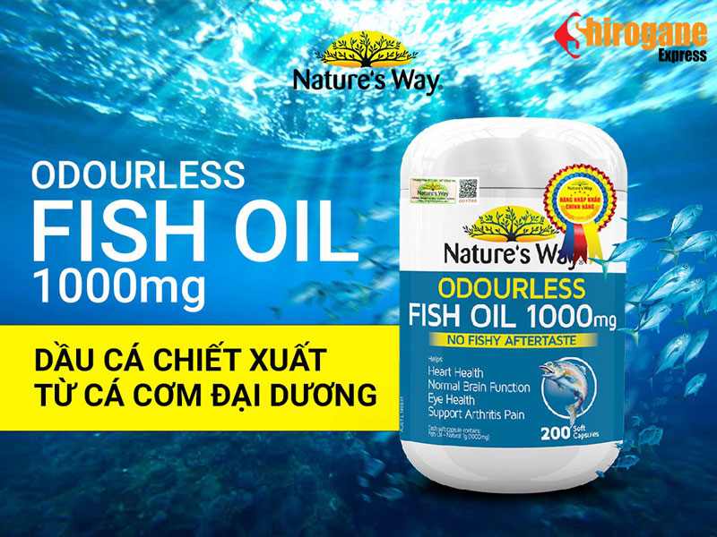 dau ca khong mui Natures Way Fish Oil 1