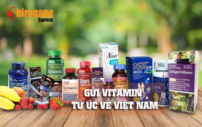 gui vitamin tu uc ve viet nam 1 1