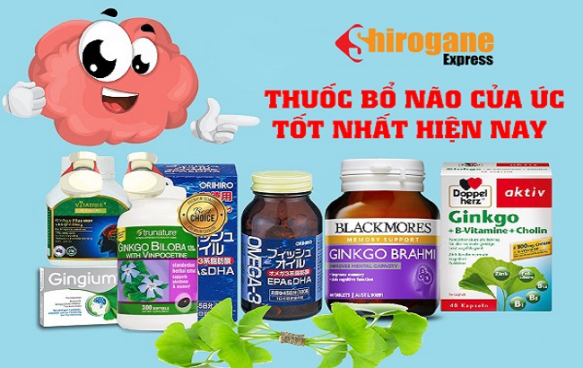 thuoc bo nao cua uc 1