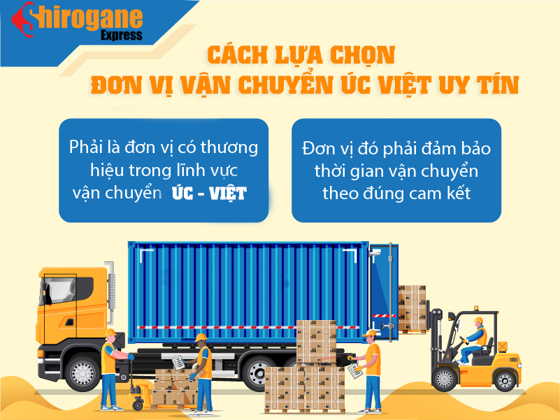 van chuyen hang tu uc ve ho chi minh 1