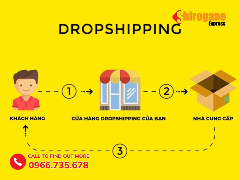 Dropship la gi 1