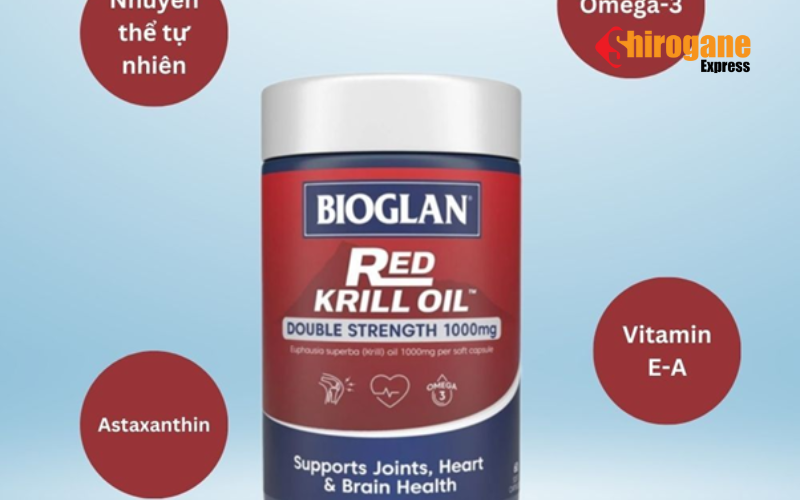 dầu nhuyễn thể Bioglan Red Krill Oil 1000mg 60 viên 